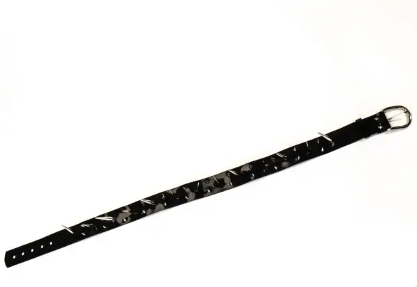 Ceinture Latex Thunder – Image 3