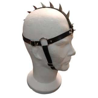 Harnais Head Horses