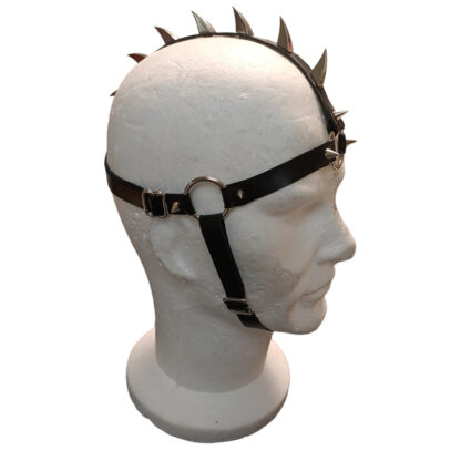 Harnais Head Horses