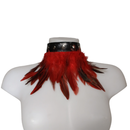 Collier Latex Plume Koko