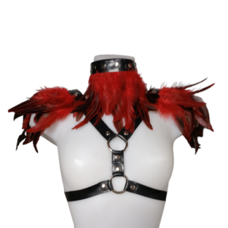 Ensemble Harnais et Collier Latex Plume Koko