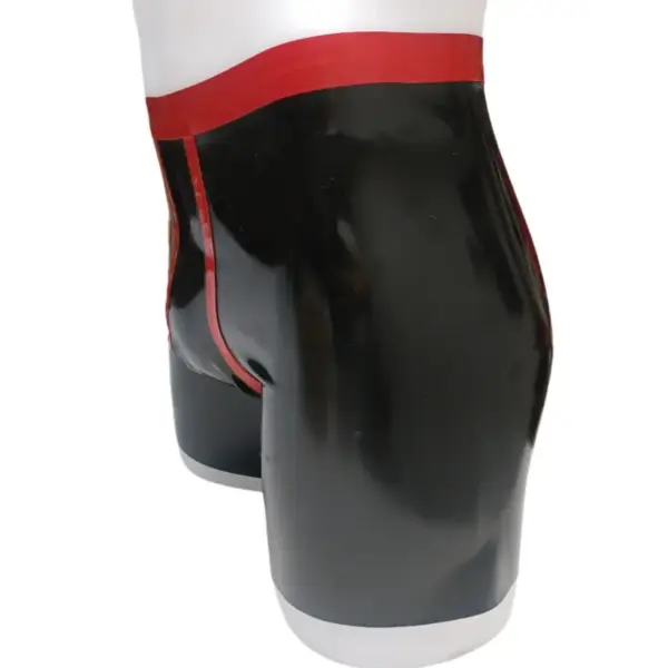 Boxer – Image 3